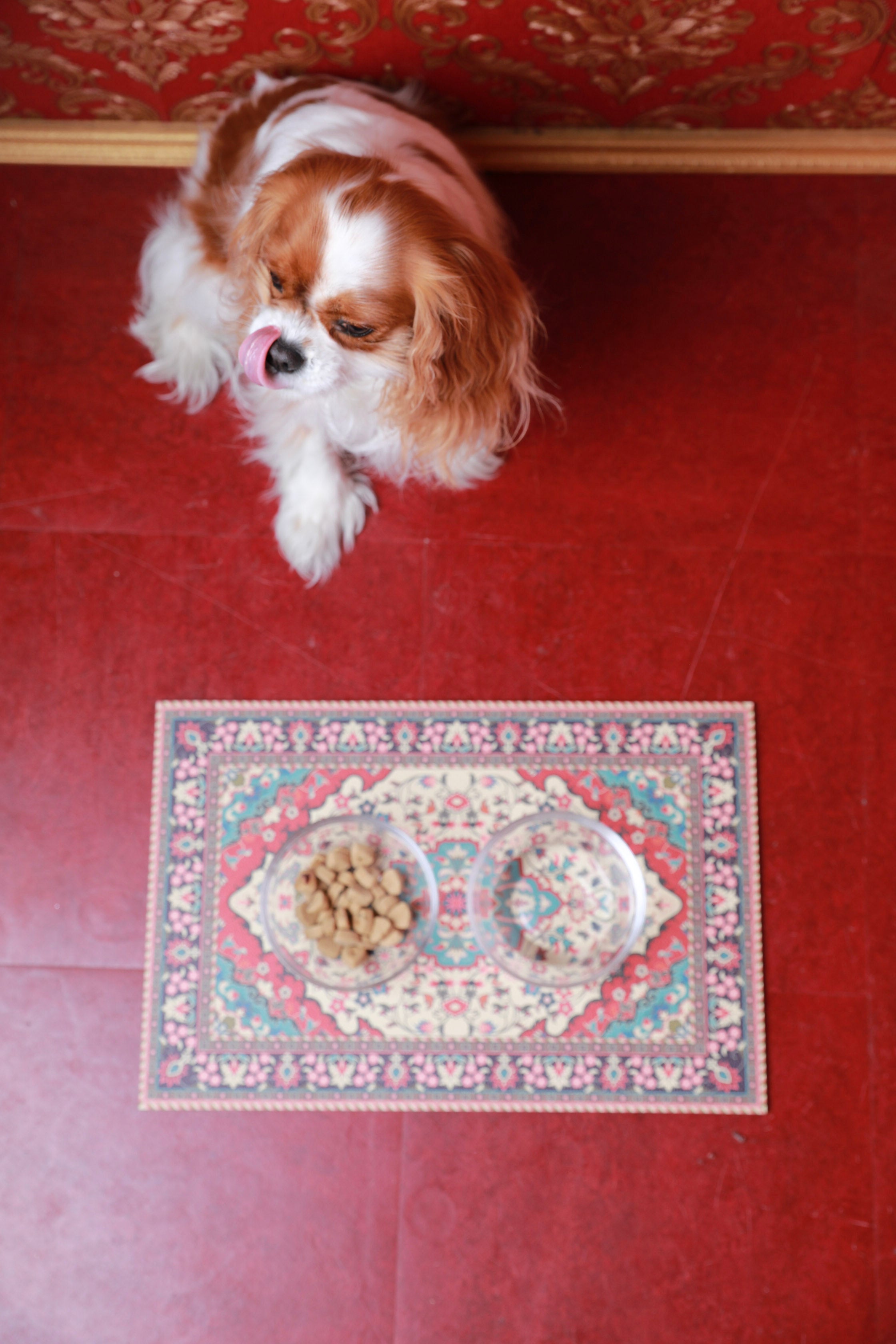 Persian Rug Pet Placemat