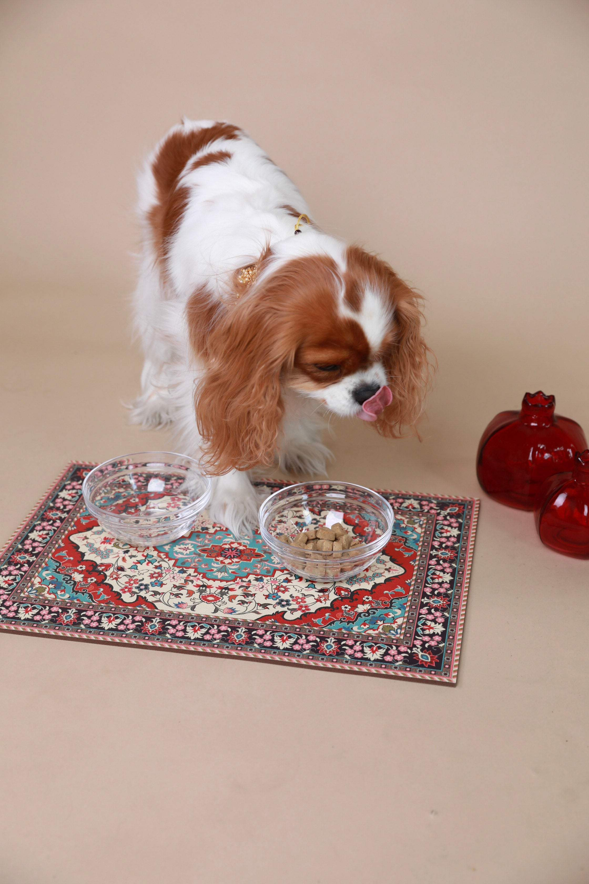 Persian Rug Pet Placemat