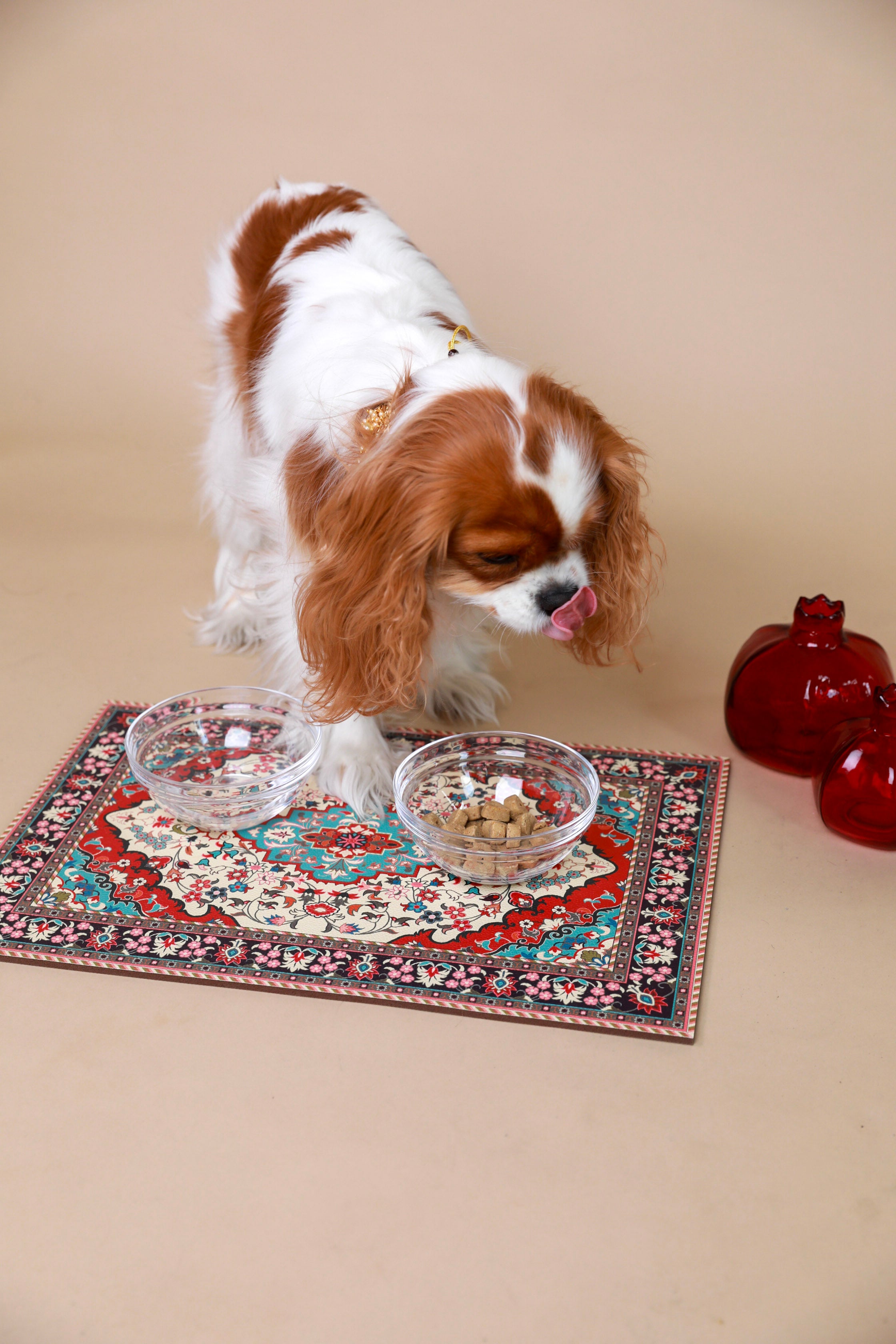 Persian Rug Pet Placemat