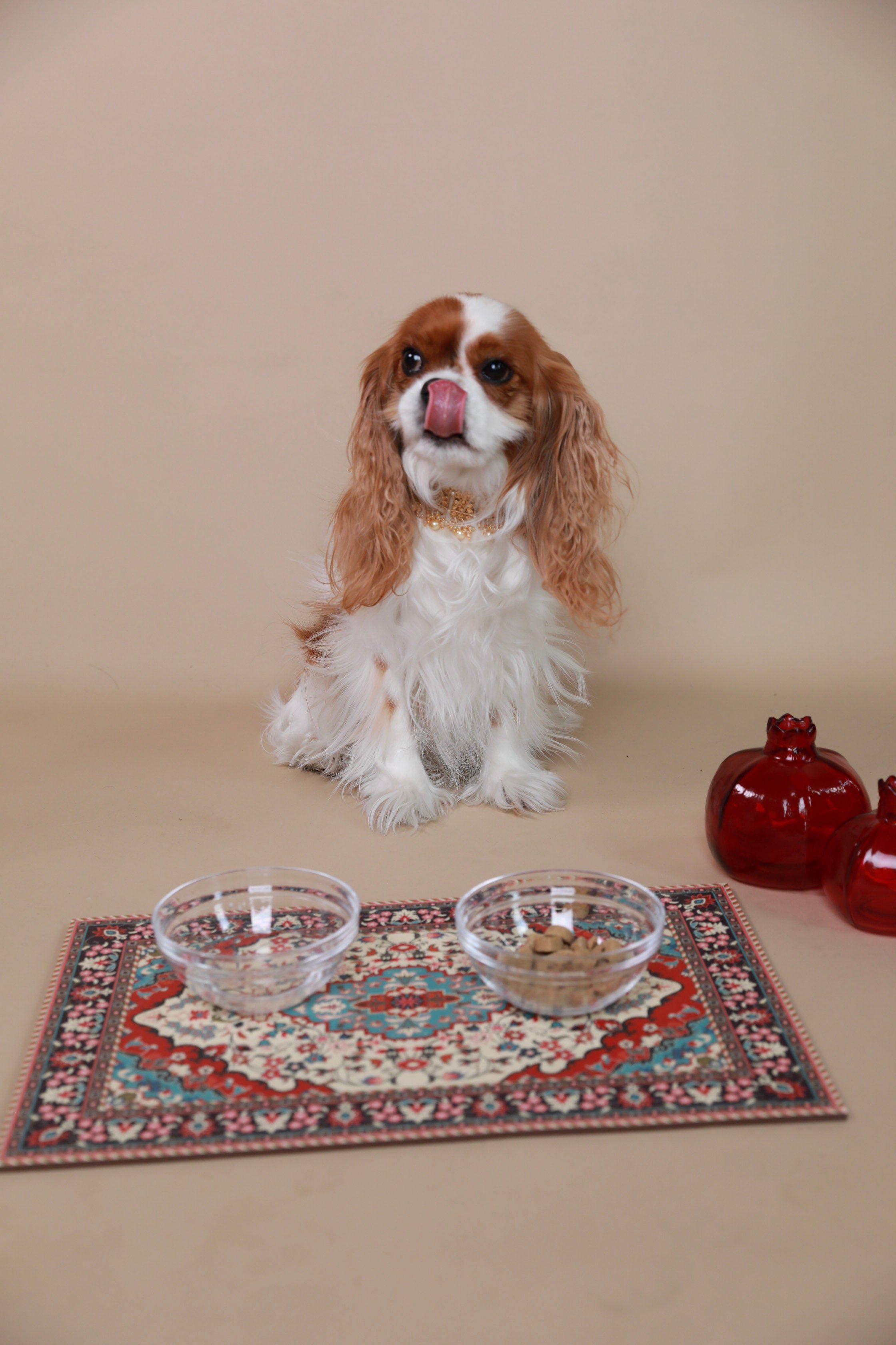 Persian Rug Pet Placemat