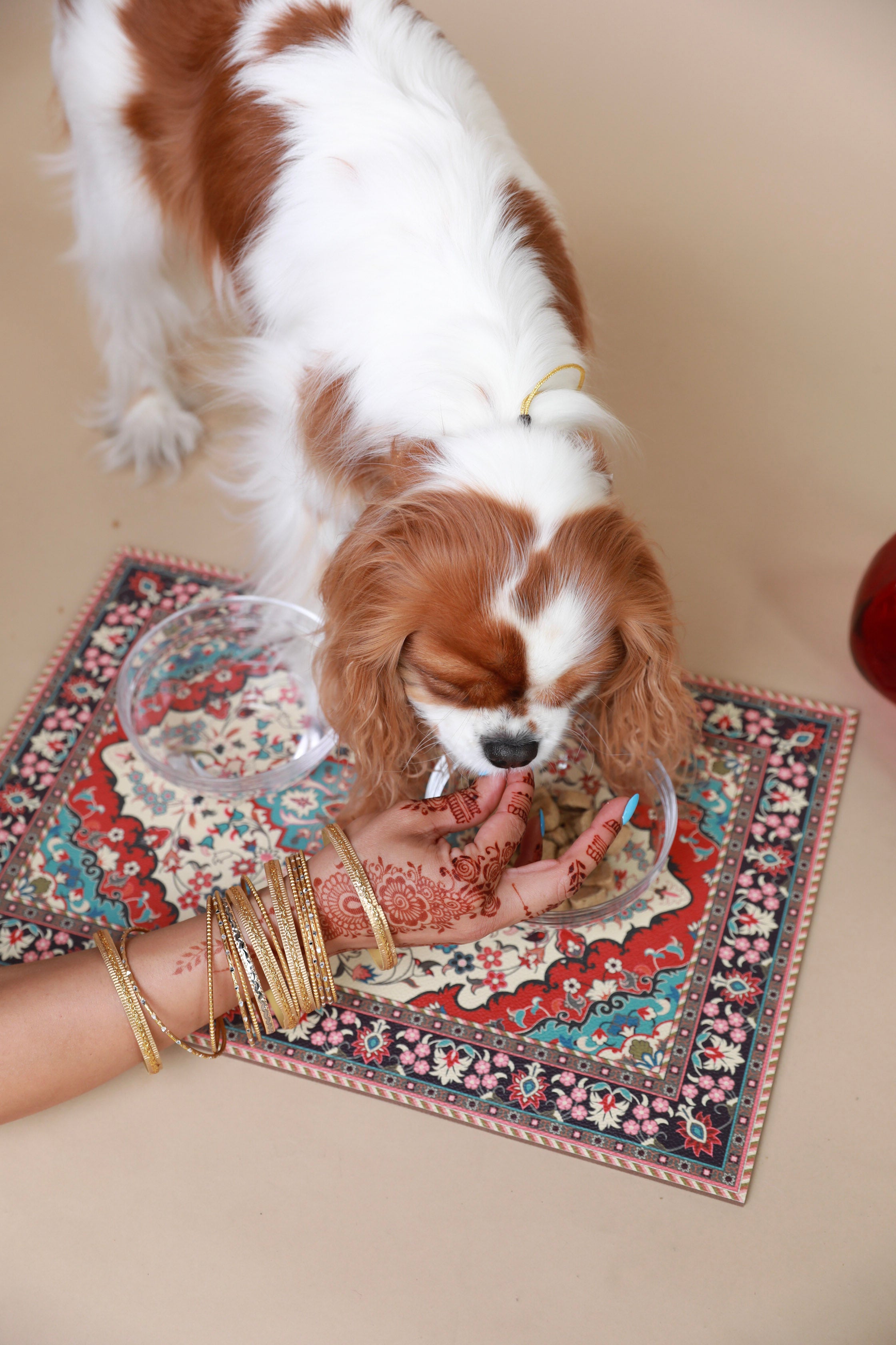 Persian Rug Pet Placemat